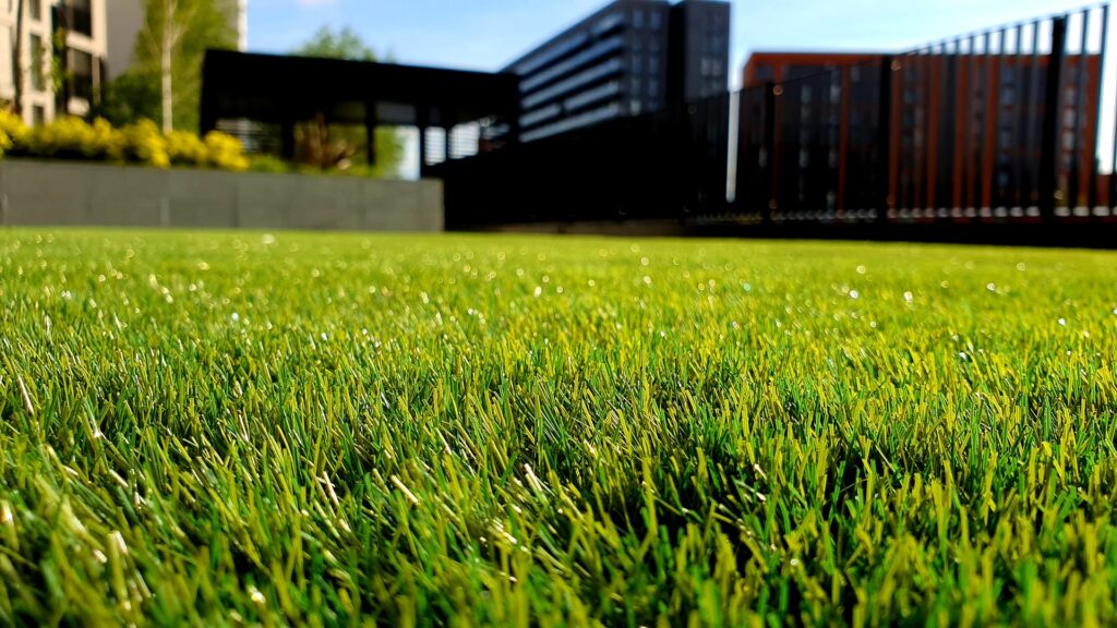 Nieuwe tuin ideeën voor 2022